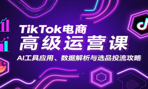 TikTok̸߼ӪΣAIӦáݽѡƷͶ