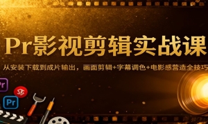 PrӰӼʵսΣӰװصƬ+Ļɫ+ӰӪȫ