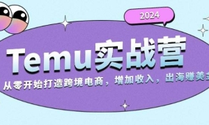 2024Temu׬ʵսӪ㿪ʼ羳루124G