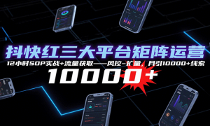ƽ̨Ӫ12СʱSOPʵս+ȡ--10000+