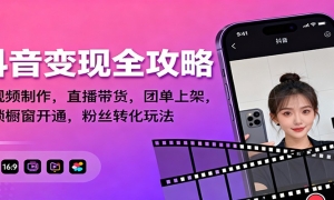 ȫԣƵֱŵϼܣͨ˿ת