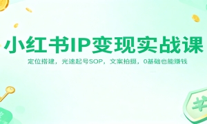 СIPʵսΣλSOPİ㣬0Ҳ׬Ǯ