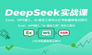 DeepSeekʵսΣExcelWPS롢AI ϹСʼǼ