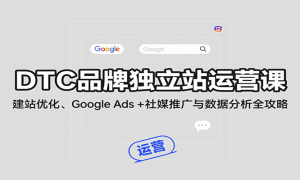 DTCƷƶվӪΣվŻGoogle Ads + ýƹݷȫ