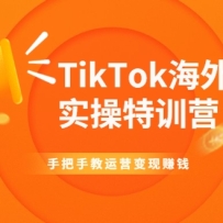 TikTokʵѵӪְֽӪ׬ǮƵγ̡