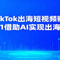 AI+TikTokƵӪ0-1AIʵֳ
