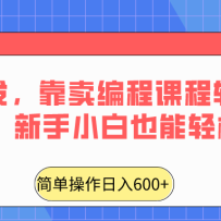 ȫ׷̿γ600+СҲ