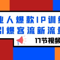 ҵ˱IPѵӪ17ƵΣ