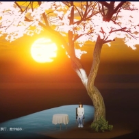 дʵ沿׽˳̳̣