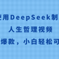 ʹDeepSeekƵСɿ