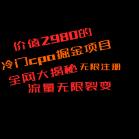 ֵ2980CPAĿأųƵ200+˫