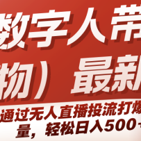 ˴淨ֱͨͶ500+