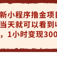 СߣĿͿԿ棬1Сʱ300+