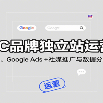 DTCƷƶվӪΣվŻGoogle Ads + ýƹݷȫ